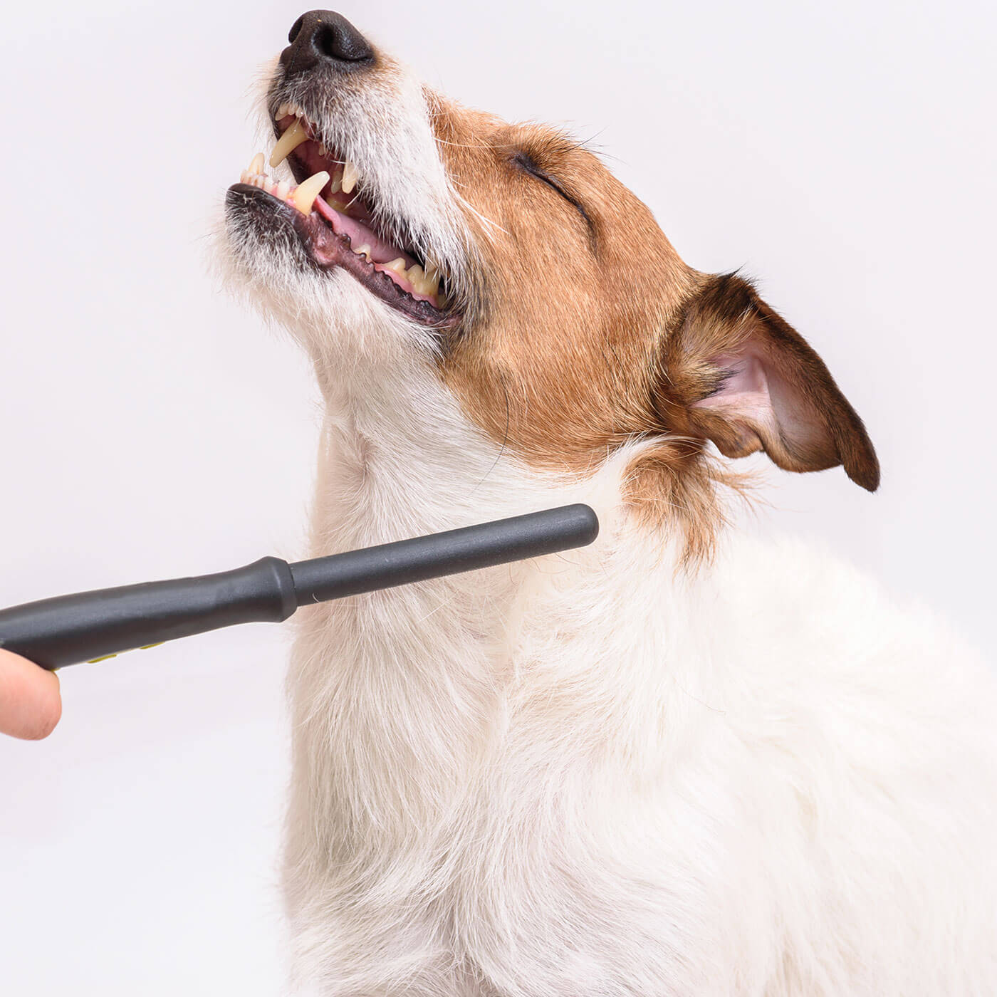 https://ecoenergtrade.com.ua/portfolio/bath-brush/